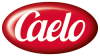 Caelo Logo web